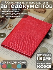 ВП-42 ЯщерицаКрасный Обложка для паспорта и автодокументов